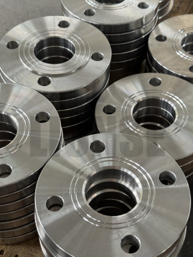 DN50 SS304 Hydraulisk testflange